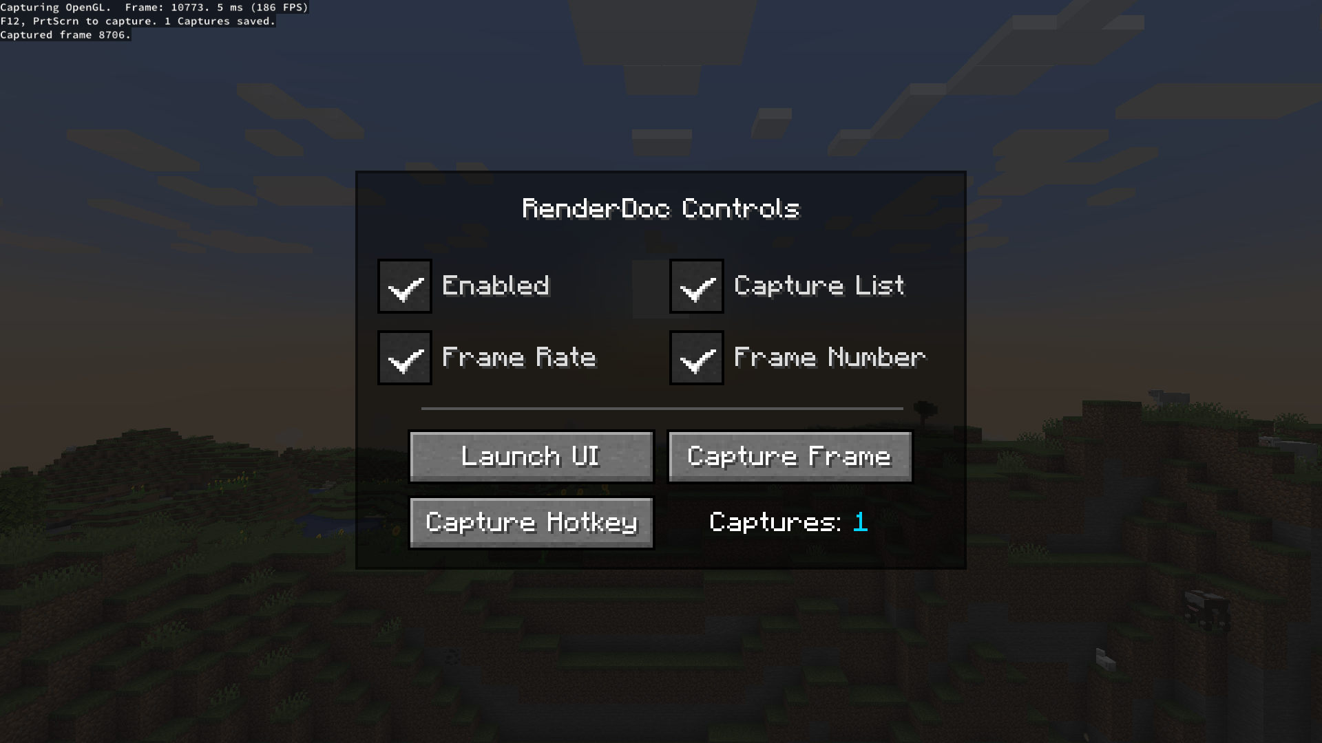 renderdoc configuration screen