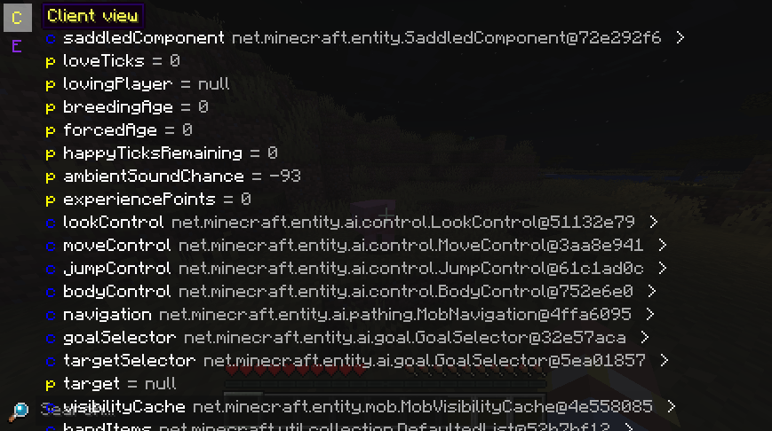 C button hovered over with tooltip "Client view"