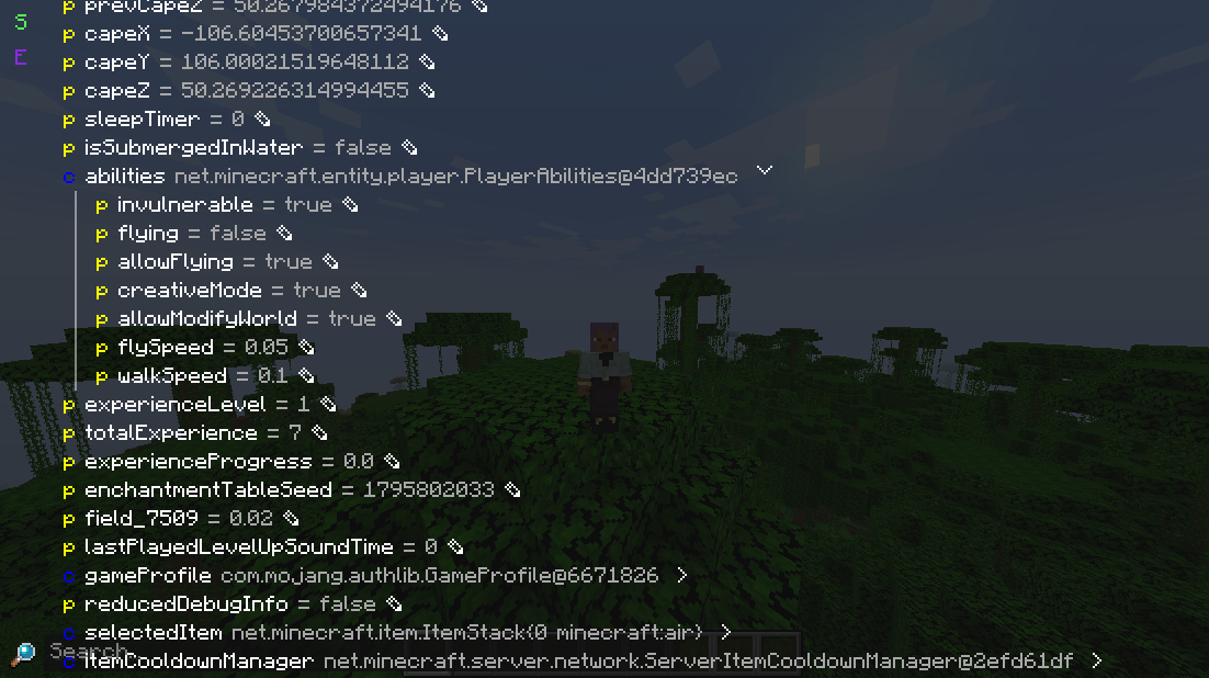 entity inspector inspecting the player